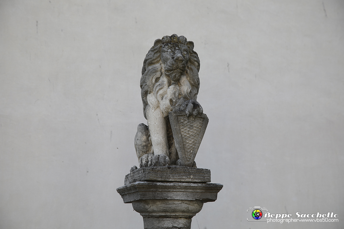 VBS_6897 - Villa Widman - Mira (Venezia).jpg - VILLA WIDMANN Villa Seriman, Widmann Rezzonico, Foscari, Costanzo è una villa veneta di Mira, situata lungo la Riviera del Brenta. Villa settecentesca in stile Rococo. Dopo la parentesi napoleonica la villa passò ai Widmann Rezzonico (che, forse, già la abitavano pur non essendone i proprietari). Nel 1883 venne aggiudicata all'asta a Francesco Somazzi; alla sua morte, nel 1896, il figlio Carlo la vendette a Giovanni Guolo e questi, nel 1897, la affittò a Pietro Foscari ed Elisabetta Widmann Rezzonico (quest'ultima discendente dei vecchi proprietari), i quali poi la acquistarono nel 1901. Passata al loro figlio Ludovico Foscari Widmann Rezzonico nel 1946, nel 1970 fu comprata dall'industriale Settimo Costanzo che la sottopose a un importante restauro. 